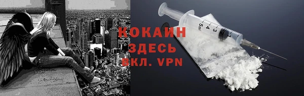 ECSTASY Горняк