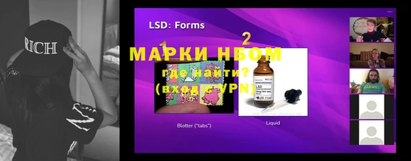 ECSTASY Горняк