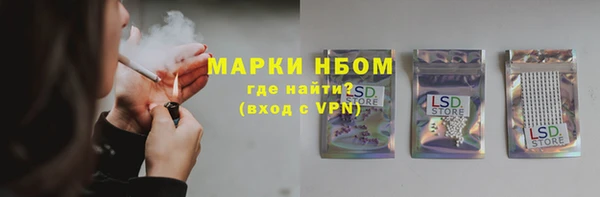 ECSTASY Горняк