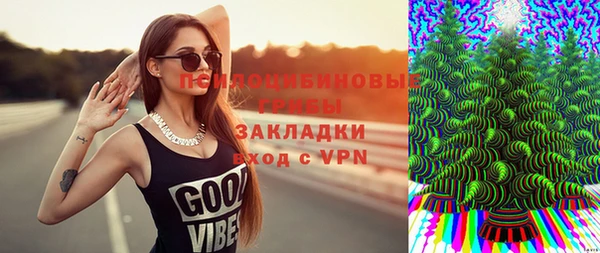 jwh Гусев