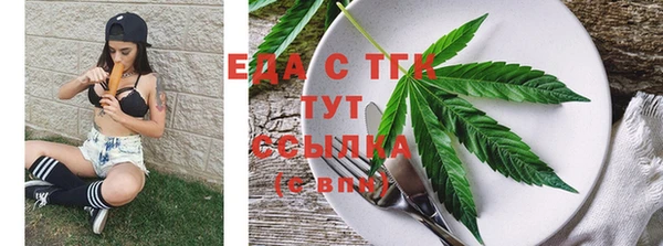 ECSTASY Горняк