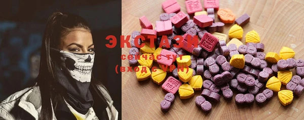 ECSTASY Горняк
