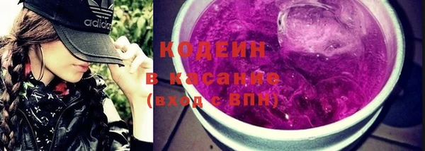 ECSTASY Горняк